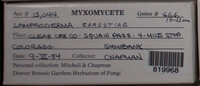 Image Associated With the Occurence
